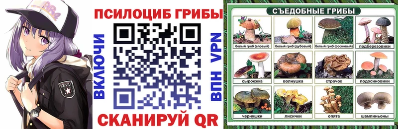 Галлюциногенные грибы Psilocybine cubensis  Мытищи 